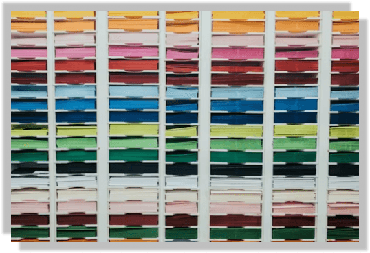Organization